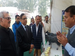 National Dairy Mela 23-25 November, 2017