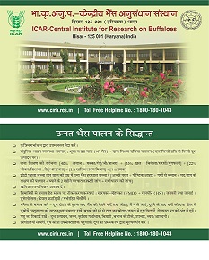 उन्नत भैंस पालन के सिद्धांत