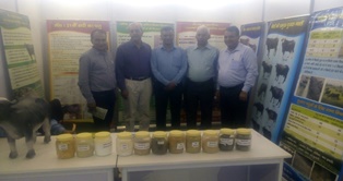 Participation of ICAR-CIRB at State Level Livestock Show 27-29 October, 2017