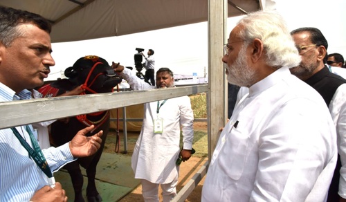 Director, CIRB showing champion buffalo bull to Hon'ble PM Shri Narendra Modi Ji during 'Krishi Unnati Mela'