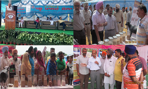 ICAR- CIRB participated in Pashu Palan Mela at GADVASU, Ludhiana during Sept., 22-23, 2016