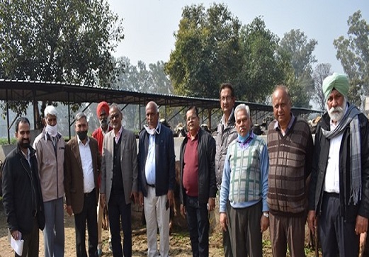 Director visits CIRB- Sub-Campus Nabha, Punjab