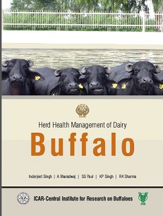 Herd Health Management of Dairy