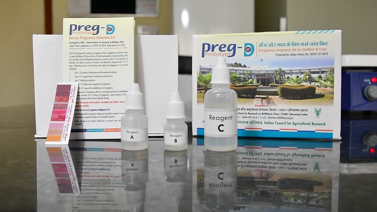केंद्रीय भैंस अनुसंधान संस्थान द्वारा पशुओं में आसानी से गर्भ जांच के लिए लांच की गई किट