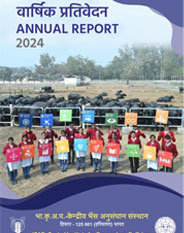 Annual report 2024